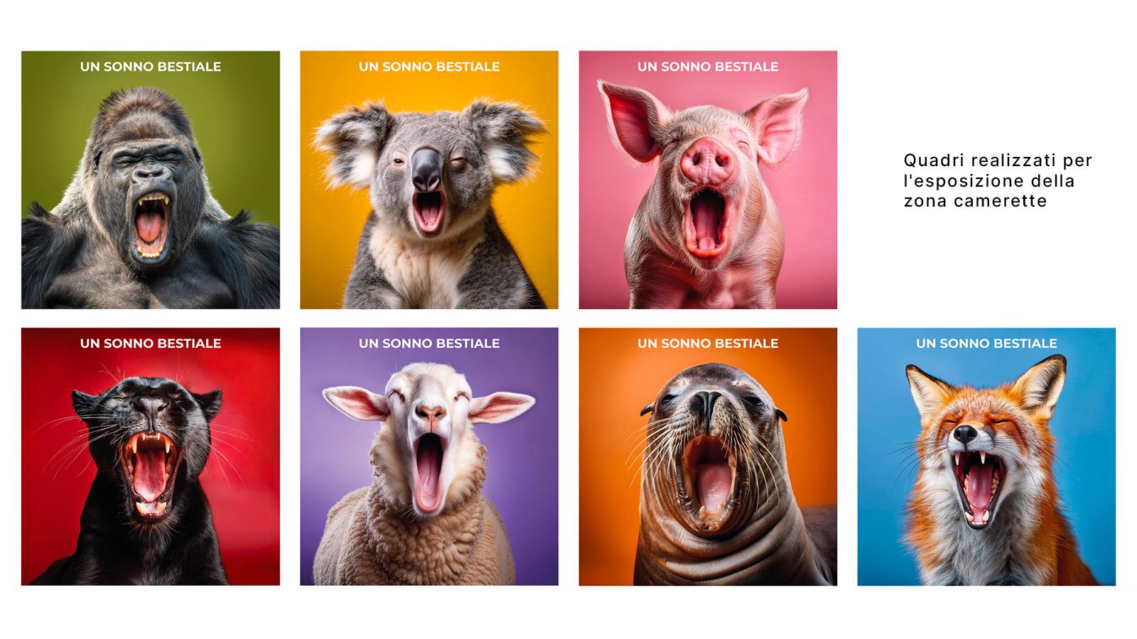 Novarredo - comunicazione