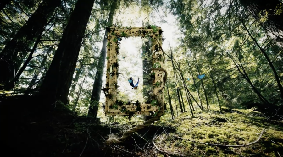 Alberto - Video istituzionale