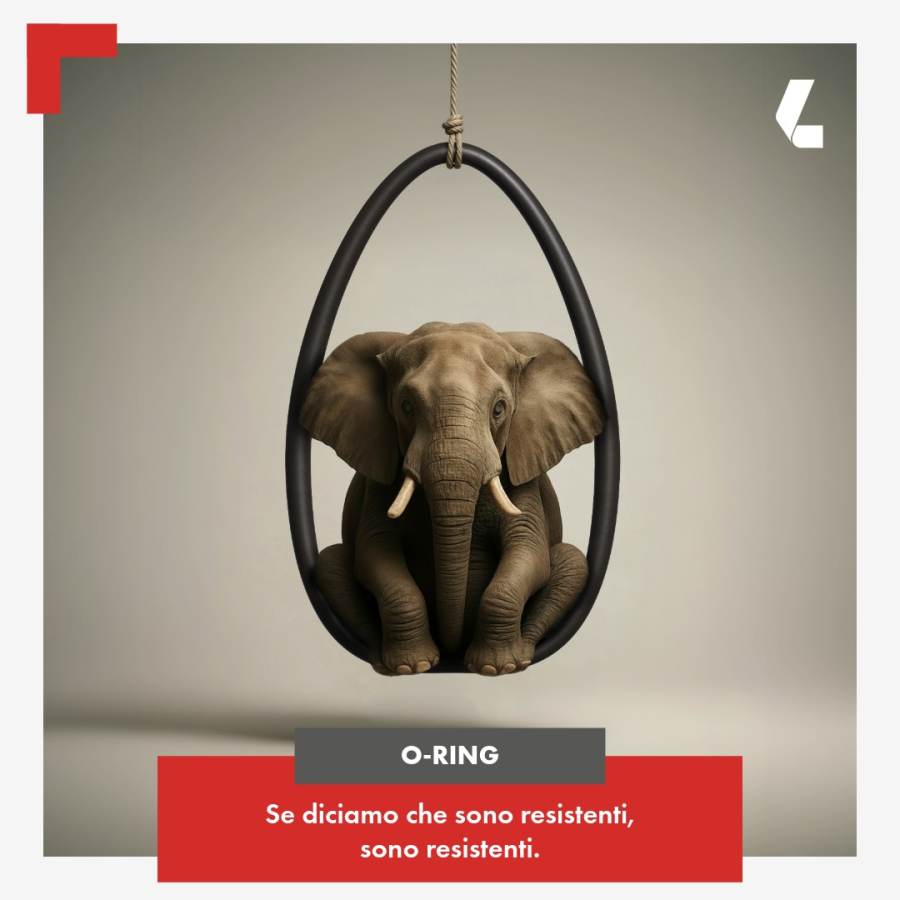 Lopigom - comunicazioni social